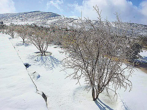 WAM/Gulf News Archives