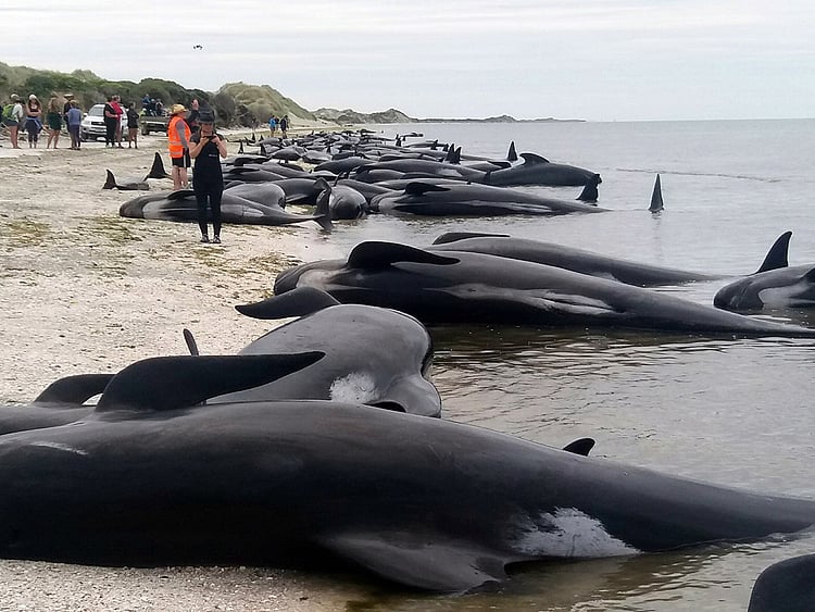 1.1976070-2211382502