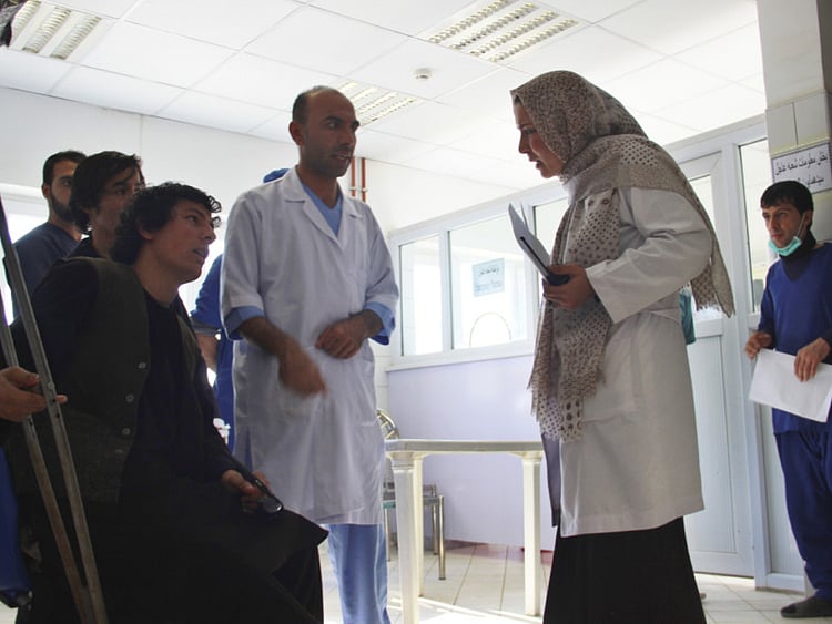 1.1976331-1764687220