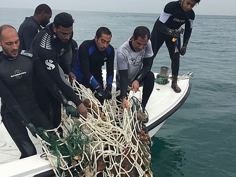 Courtesy: Sharjah Aquarium