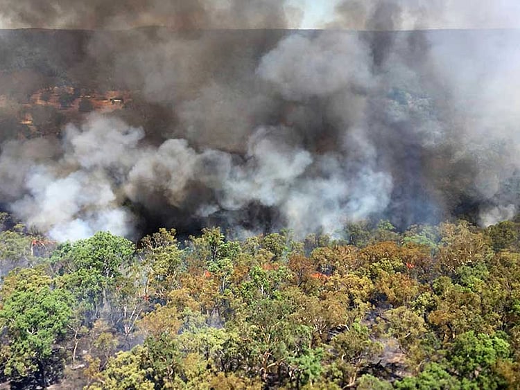 1.1977812-2079283086