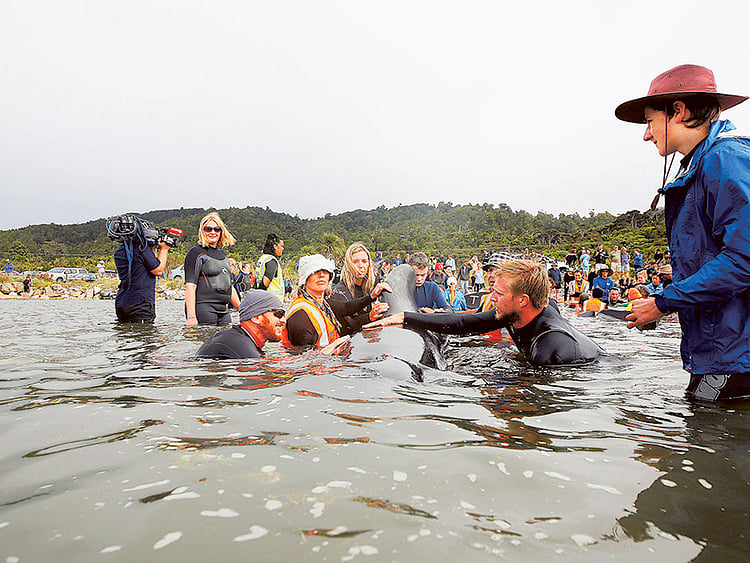 1.1978281-3460052937