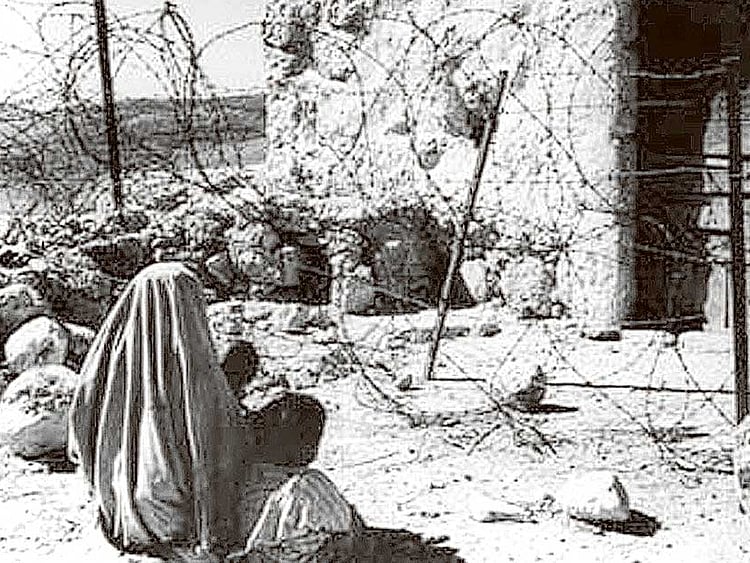 1.1979429-4285668856