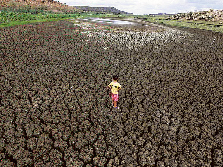 1.1980384-1163113533