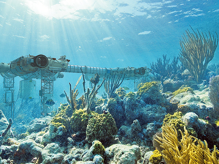 1.1981307-1712728739