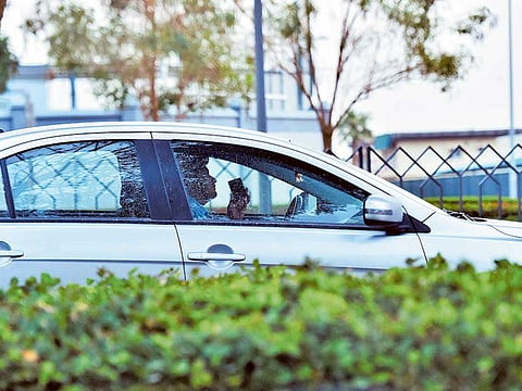 Clint Egbert/Gulf News