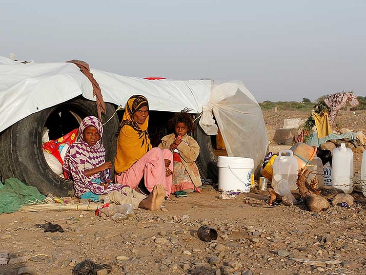 1.1983158-3654127337