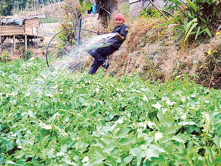 1.1983787-4283602875