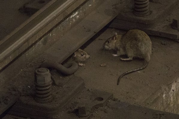 1.1983764-3680949487