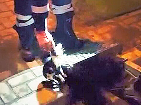 Courtesy:  Dubai Police