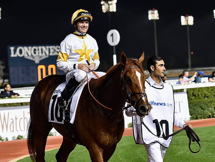 1.1986119-3589848526