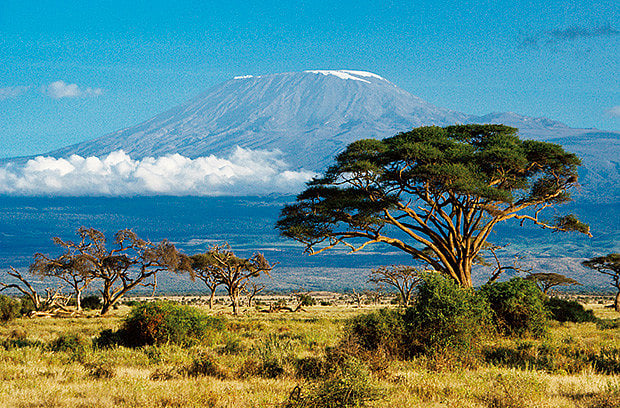 1.2055393-4230799410