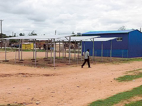 Courtesy: TRF/Danstan Kaunda