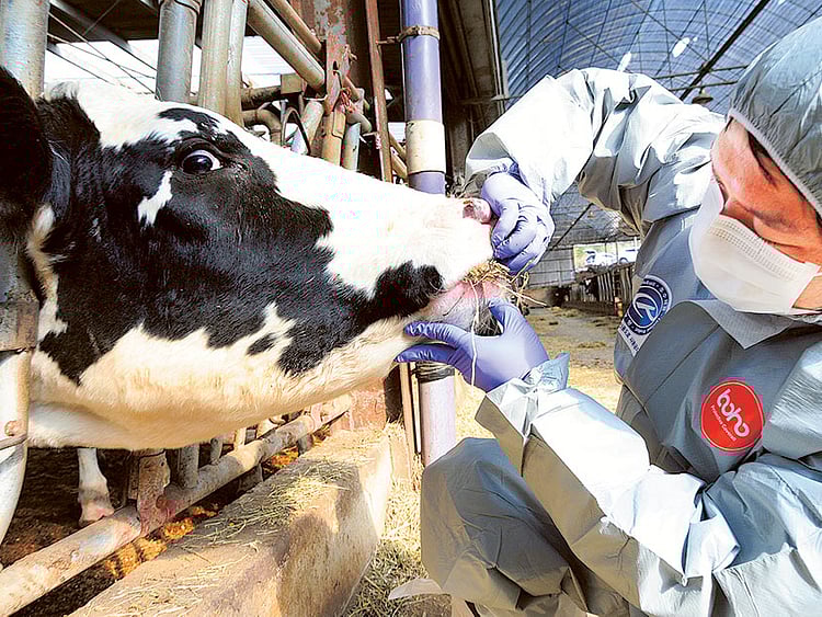 1.1973872-3899920480