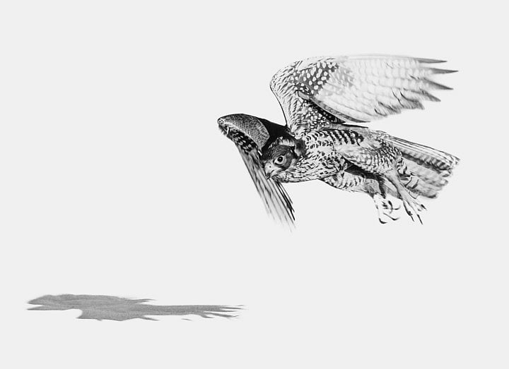 1.1975251-3461260128