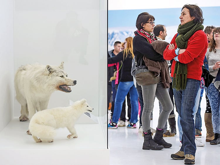 1.1991830-2492566627