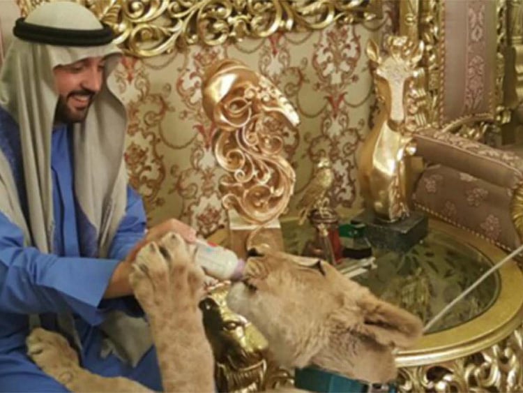 1.1992198-3166767415