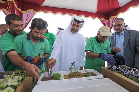 Five new parks to be built in Abu Dhabi suburbs
