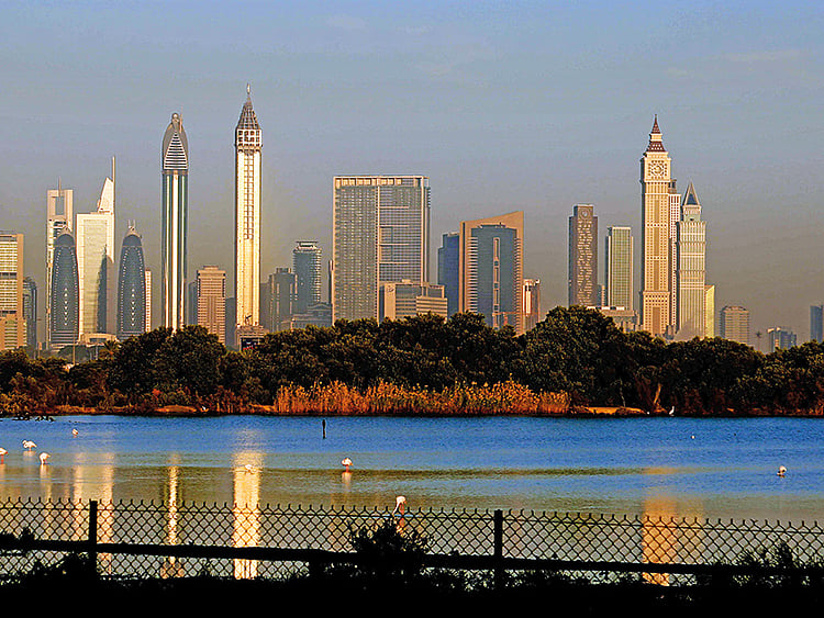 1.1993525-3240620450