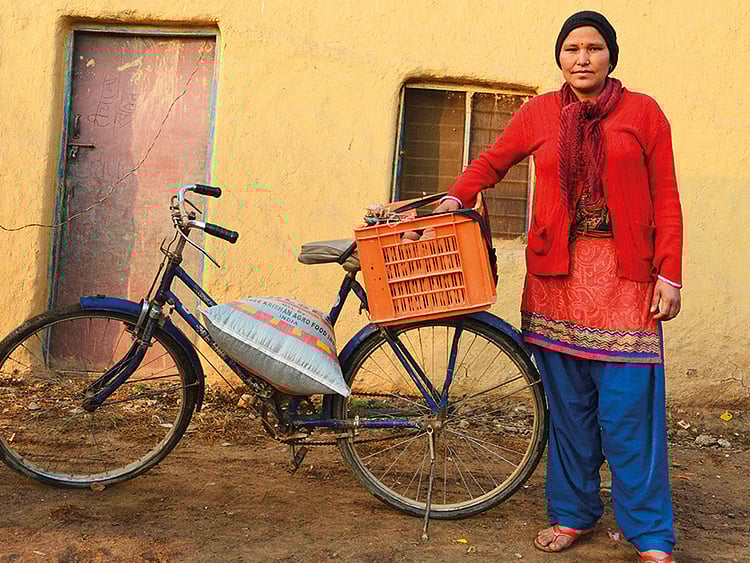 1.1994730-1361614864