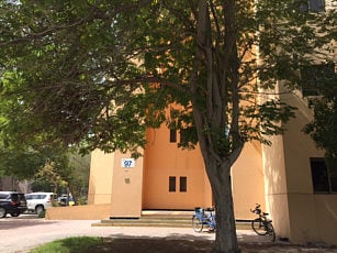 1.1994744-1365037889