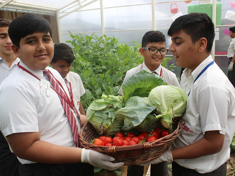 1.1996498-2261156617