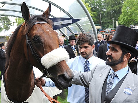 Shaikh Mohammad’s passion unrivalled