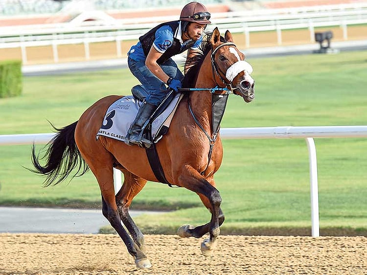 1.1997380-1287122979