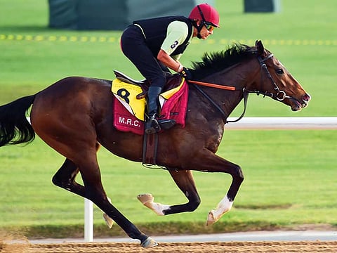 Virendra Saklani/Gulf News