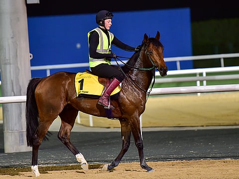 Virendra Saklani/Gulf News