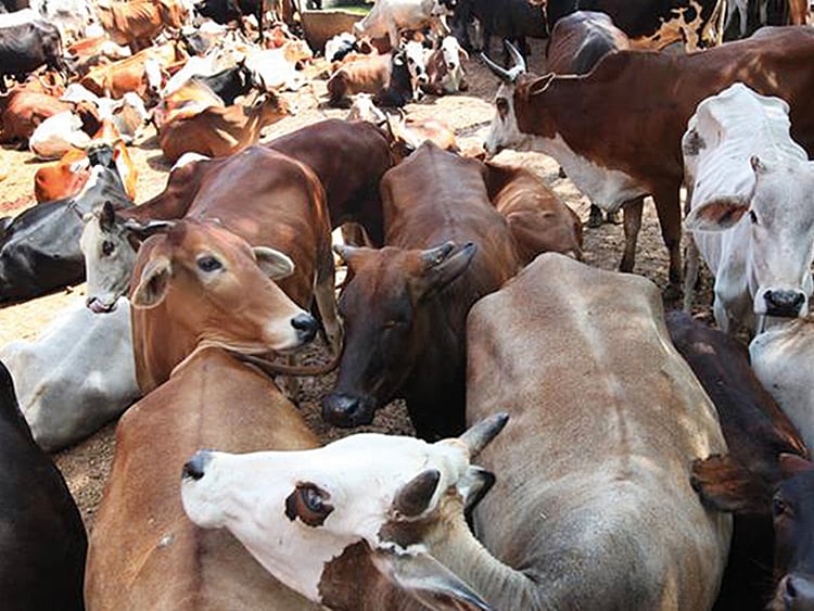 1.1998404-3314607832