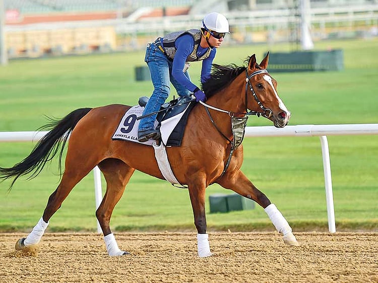 1.1999352-4065872795