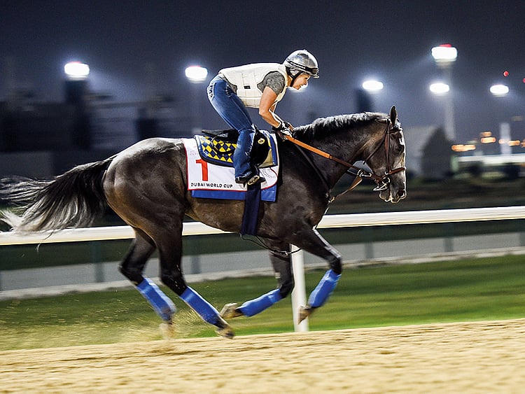 1.1999557-3502265349