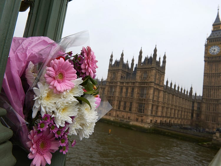 1.1999683-1320512787