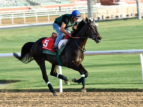 Virendra Saklani/Gulf News