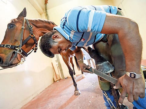 A.K Kallouche/Gulf News