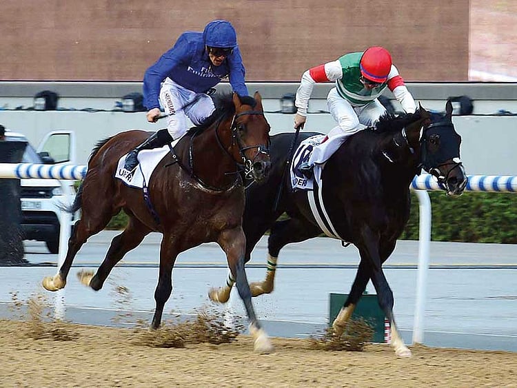 1.2000231-4011173858