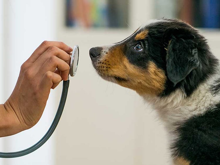 1.1999933-3749796853