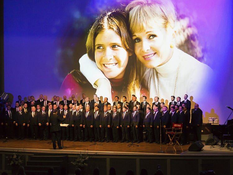 1.2000377-3798562129