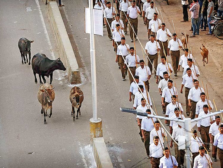 1.2001324-1766148029