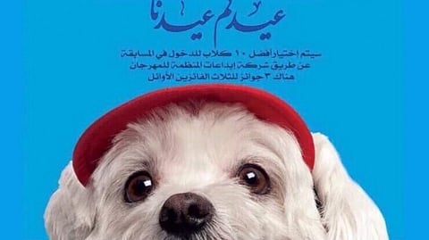 Dog beauty contest organisers have no case to answer — Jeddah court