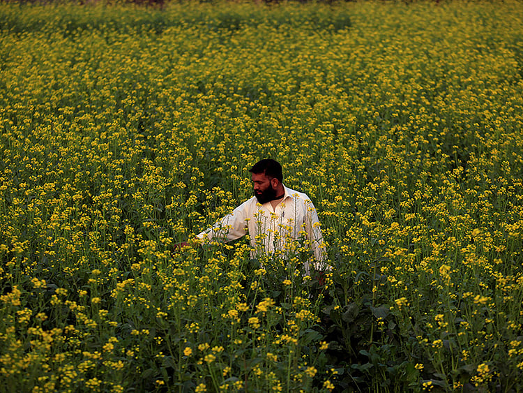 1.2001843-3926073594