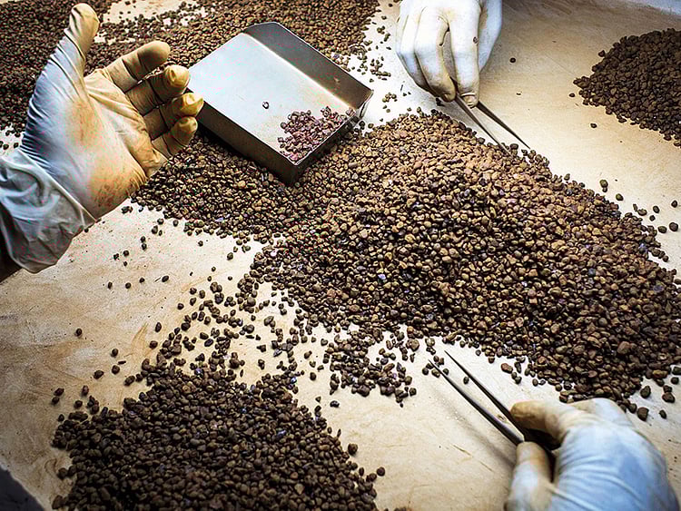 1.2002411-2293159092