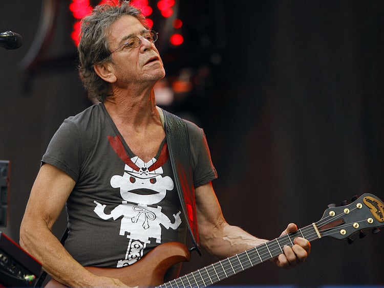 1.1987565-3137800780