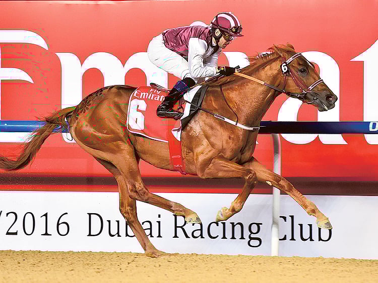 1.1987728-3995131646