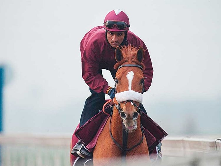 1.2003242-2786474077