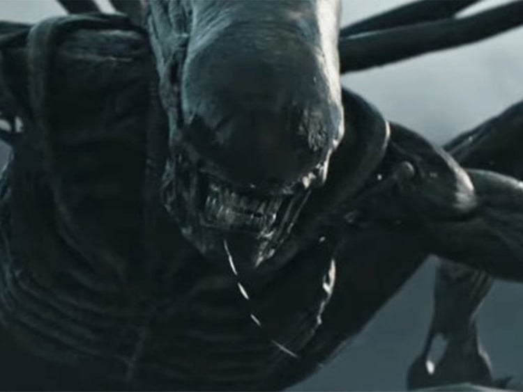 1.2003480-4142077372