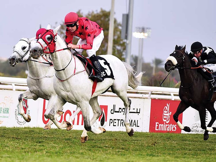 1.1989190-1794350519