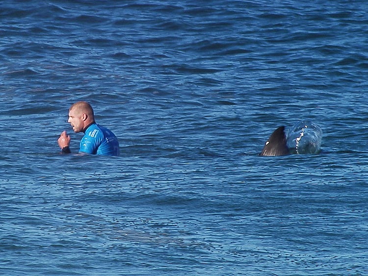 1.1989511-1352984193