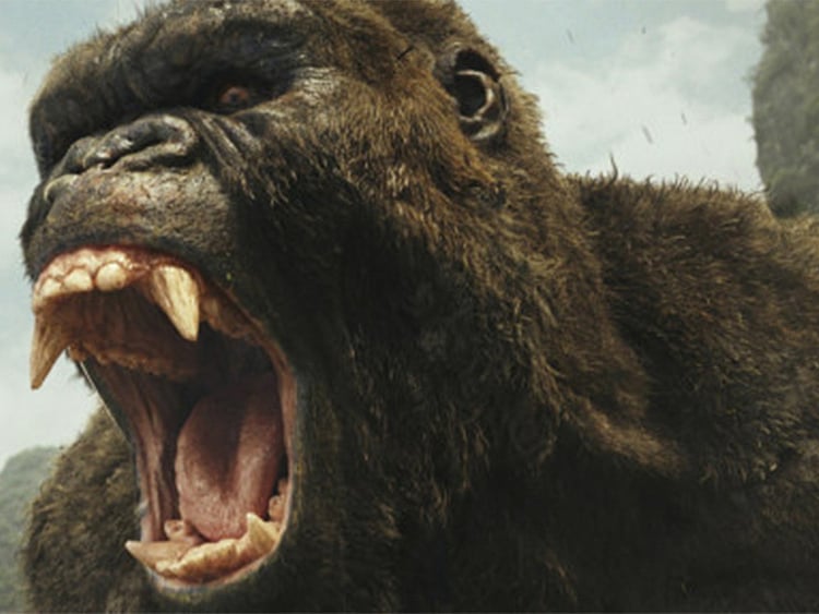 1.1989638-4142077372